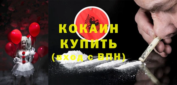 прущие грибы Алзамай