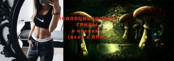 прущие грибы Алзамай