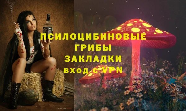 прущие грибы Алзамай