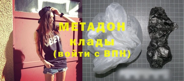 прущие грибы Алзамай
