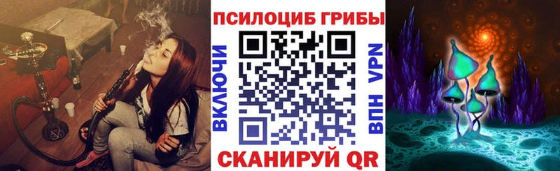 где купить   Артём  Галлюциногенные грибы Magic Shrooms 