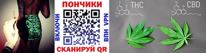 Шишки марихуана марихуана  Артём 